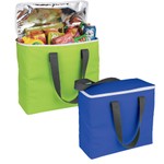 Arctic Zone 30-Can Foldable Freezer Tote_22762