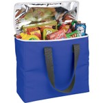 Arctic Zone 30-Can Foldable Freezer Tote_22762
